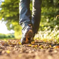 همپا برای پیاده روی
