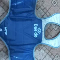 هوگو و نقاب کلاه تکواندو حرفه ای