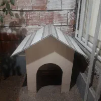 لانه سگ