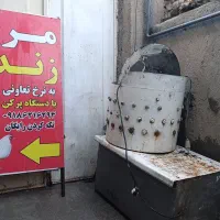 وسایل کامل مرغ فروشی