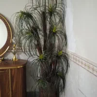 گل بزرگ جدید 980 تومان