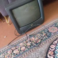 تلوزیون