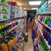 شوینده بهداشتی پوشک مای بی بی۷۳۳هانیز733