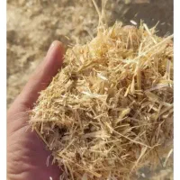 فروش کاه جو تمیزر