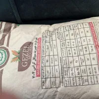 بذر ذرت مغان ۷۰۴