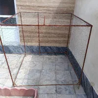 قفس مرغ و خروس