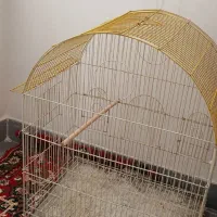 قفس پرنده