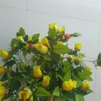 گل مصنوعی