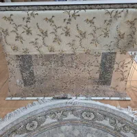 پرده زبرا دو مکانیزم سالم