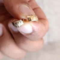 گل گوش طلا