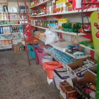 مغازه سوپر مارکت