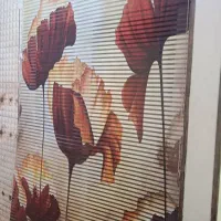 پرده زبرا سه بعدی دو مکانیزه