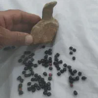 مهره های   بسیار قدیمی  زیر خاکی و  اونگ