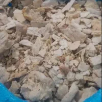 نون خشک دامی