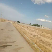 زمین-ملکی-فروشی