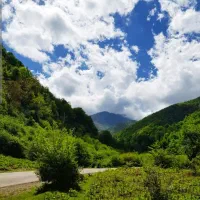 زمین ۲۰۲متری مسکونی