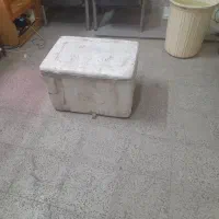 بار،جدید انواع گوپی رسید