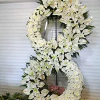 تاج گل به قیمت عمده