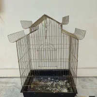 پرنده