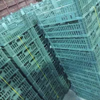 سبد|ظروف نگهدارنده، پلاستیکی، یک‌بارمصرف|بناب, |دیوار