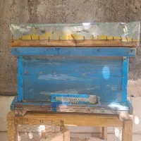 تعدادی کندو دسته دو دوم ومقداری موم اب شوده