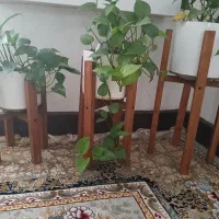 گلدان پایه دار