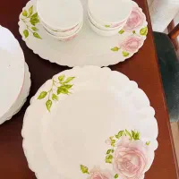 ارکوپال۲۰پارچه خورشت خوری ندارد . پیش دستی چینی