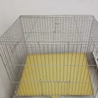 قفس پرنده