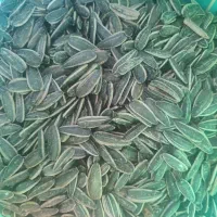 تخمه کانادایی لوکس