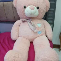 خرس تمیز
