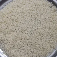برنج درجه یک هاشمی