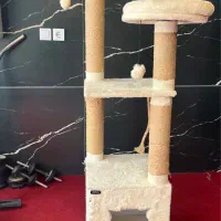 اسکرچر گربه