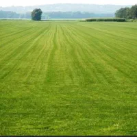 زمین روستایی سنجرانی کنار پایانه مرزی میلک