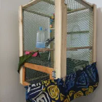 عروس هلندی