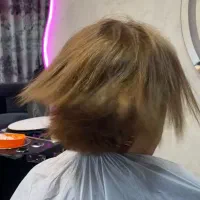 مدل کراتین و احیا
