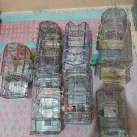 قفس|لوازم جانبی حیوانات|بروجرد, |دیوار