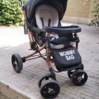 کالسکه دلیجان مدل بنیتا