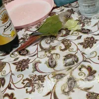 گرینچیک