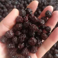 البالوی خشک و تازه