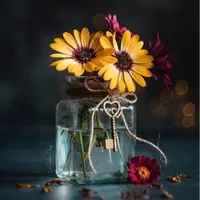 مدارک گم شده