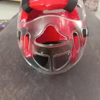 کلاه و نقاب تکواندو
