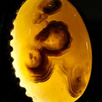 انگشتر عقیق مصوّر  نقره 925 کار دست عتیقه