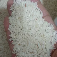 برنج محلی هاشمی دس بریده خونگی