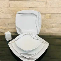 ظروف سرو و پذیرائی