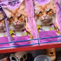 فروش غذای گربه