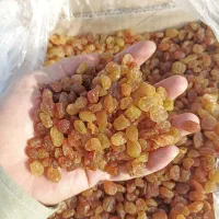 کشمش پلویی ملایر