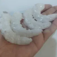 میگو صید روز و تازه جنوب (هندیجان)