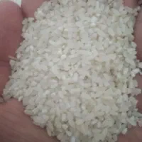 نیم برنج طارم معاوضه هم میشه