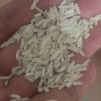 برنج پاکستانی بابک