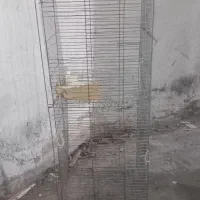 قفس پرنده